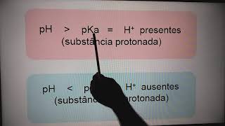 Aminoácidos e Peptídeos Parte 2 [upl. by Mosora]