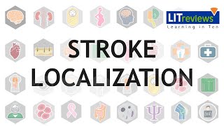 Stroke Localization [upl. by Onairpic]