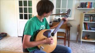 Irish Bouzouki  Morrisons Jig [upl. by Aniluap]