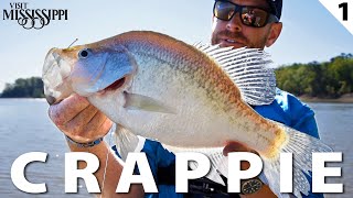 Fishing the CRAPPIE Capital of the World CATCH amp COOK  FieldTrips Mississippi [upl. by Judas]