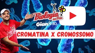 CROMATINA x CROMOSSOMO [upl. by Quick]