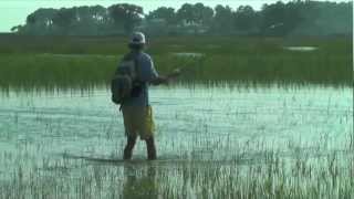 Tailing Redfish on the Fly Beaufort SC [upl. by Mar]