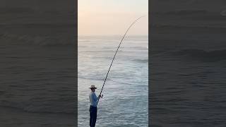 travel algerie casablanca kitten summer beach cat maroc fish [upl. by Raviv]