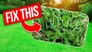 4 Best Crabgrass Control Strategies from a Lawn Pro [upl. by Ennaegroeg]