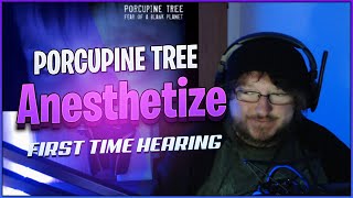 Porcupine Tree Anesthetize Reaction  Porcupine Tree Reaction [upl. by Bamby]