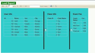 RDLC Report in c Multiple Reports in Single RDLC Report in aspnet c SQL Server Step By Step [upl. by Ahsiym]