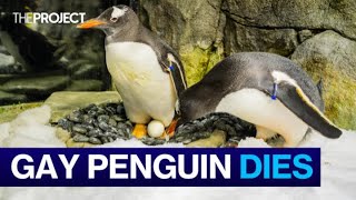 Sydney Aquariums Gay Penguin Dies [upl. by Nakeber727]