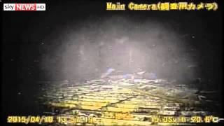 Inside Fukushima Nuclear Reactor [upl. by Ahsrat673]