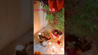 Tulasi Pooja Lahr Lahr lahraye reJessie baby [upl. by Iline]