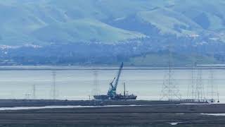 Dredging Vessel with Birds and Fog  San Francisco Bay  March 5 2024 [upl. by Eyahc267]