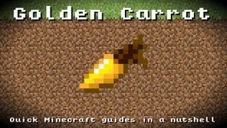 Learn how to make carrot farm and learn how to craft golden carrot and learn its uses  Minecraft [upl. by Glenine]