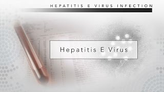 Hepatitis E CDC Viral Hepatitis Serology Training [upl. by Ailemap]