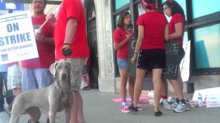 Solidarity Forever  Chicago Teachers Union Strike 2012 [upl. by Refinney568]