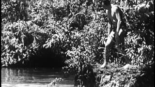 The New Adventures of Tarzan 1935 BRUCE BENNETT [upl. by Aicyla]