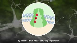 Deep Isoflurane Anesthesia is Associated with Alterations in Ion Homeostasis [upl. by Quiteri]