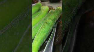 okra diabetes food foodie foodlover vegetables [upl. by Jimmy287]