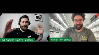 Keeping Breeding amp All Things Anoles With Armen Of Herptime [upl. by Kramlich]