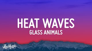 Glass Animals  Heat Waves Lyrics [upl. by Nythsa]