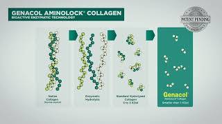 Genacol  ScienceBacked Collagen Supplements [upl. by Nylirej]