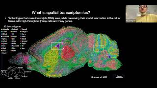 W31 Spatial Transcriptomics – Day 1 [upl. by Adiesirb]