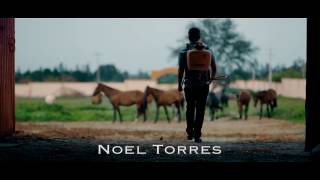 Noel Torres quotQue Tanto Es Tantitoquot Video Oficial [upl. by Pazice]