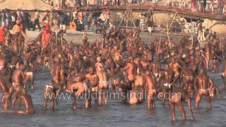 Best of Allahabad Kumbh mela  Worlds largest religious gathering [upl. by Susejedesoj]