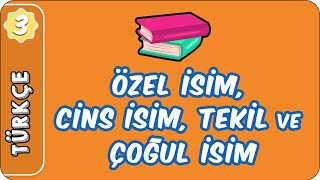 Özel İsim Cins İsim Tekil ve Çoğul İsim Topluluk İsmi  3 Sınıf Türkçe evokul Kampı [upl. by Remmus]