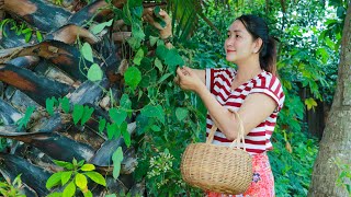 Green Grass Jelly Cooking  Jelly Making From Plant  Cooking With Sros [upl. by Barrus52]