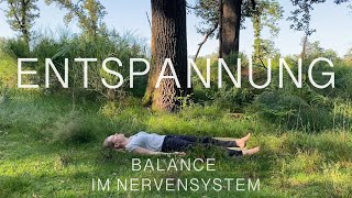 Tiefenentspannung  Stabilität amp Balance für dein Nervensystem  20 Minuten Entspannung [upl. by Zarah379]