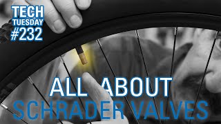 All About Schrader Valves  Tech Tuesday 232 [upl. by Gallagher650]