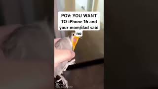 Bird screaming meme [upl. by Feledy]