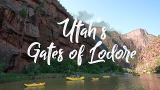 Travel VLOG Gates of Lodore 4day Whitewater Rafting Trip with OARS [upl. by Cerallua]