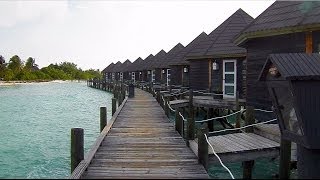 HD More of the Water Villas Kuredu Island Maldives amp Fish in Water [upl. by Anavlys]