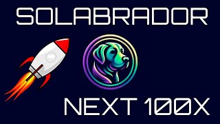 SOLABRADOR SOBER 🔥 SHIB OF SOLANA 🚀 INTERESTING MICRO CAP MEME COIN 💎 TOKEN REVIEW [upl. by Anitsirhcairam]