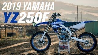 2019 Yamaha YZ250F  First Impressions [upl. by Coster469]