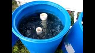 Aquaponics system radial flow filter setup ep 2 [upl. by Hepza957]