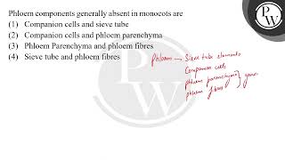 Phloem components generally absent in monocots are [upl. by Seadon812]