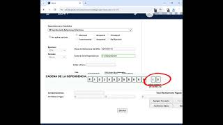 cómo pagar pasaporte mexicano en línea con BBVA [upl. by Tawney545]