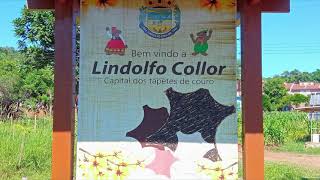 LINDOLFO COLLOR RS [upl. by Schilit]