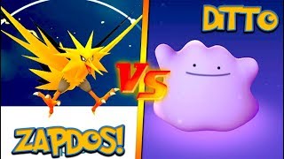 NEW ZAPDOS vs THE DITTO POKÉMON GO LEGENDARY RAID CHALLENGE [upl. by Elianore]