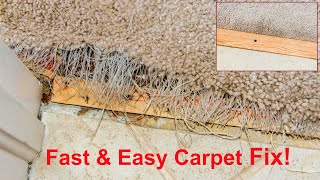 How To Repair Carpet How To Patch Carpet [upl. by Clarie]