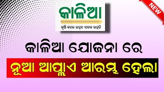 Kalia Yojana New Apply Start  Kalia Yojana New list 2023 Odisha  Kalia Yojana Online Apply [upl. by Aihsenat958]