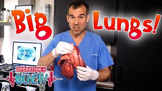 How Big are your Lungs 🧐  Experiments at Home  Full Episodes  Operation Ouch [upl. by Lerraf972]