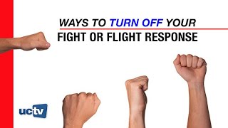 FightFlightFreeze Response Anxiety Skills 1 [upl. by Nylkoorb859]