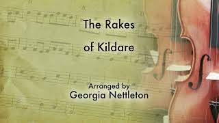 The Rakes of Kildare  fiddle harmony parts [upl. by Weisberg]