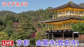 ライブカメラ 京都 金閣寺（鹿苑寺）Live cam Kyoto Kinkakuji Rokuonji [upl. by Yneffit]