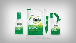 How to Use Roundup® For Northern Lawns Products Properly to Kill Weeds in Your Lawn [upl. by Nwahsyd577]