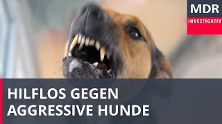 Hilflos gegen aggressive Hunde [upl. by Dotson243]