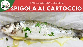 BRANZINO AL CARTOCCIO FACILE AL FORNO  FoodVlogger [upl. by Nedac894]