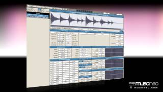 Musoneo  Najlepszy darmowy sampler VST na PC  Shortcircuit Free Sampler [upl. by Robby10]